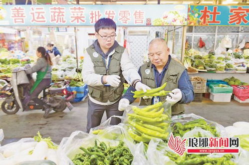 臨沂市強(qiáng)化畜禽食品抽檢，筑牢“舌尖上的安全”防線
