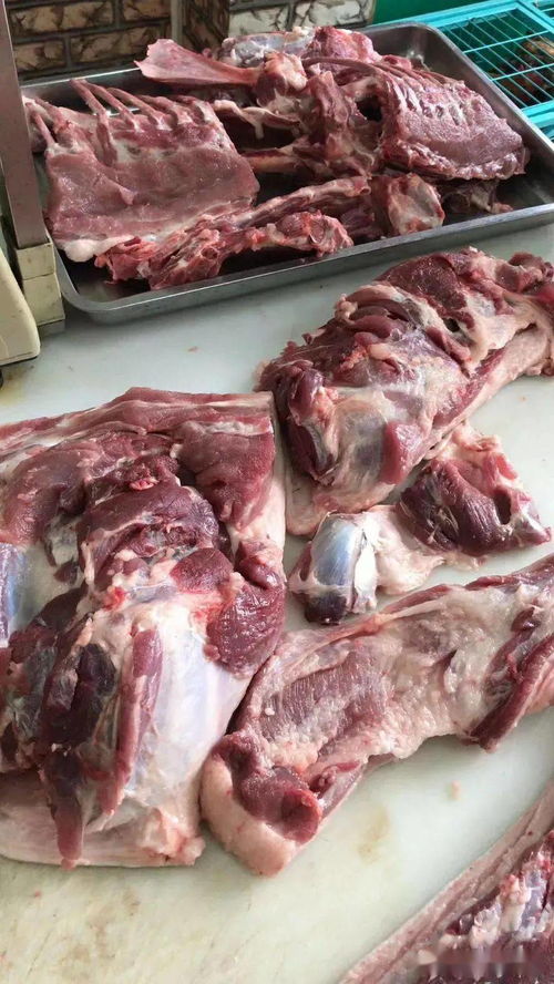 發(fā)酵飼料對提升動物肉品質(zhì)的科學機理與應用研究佐證